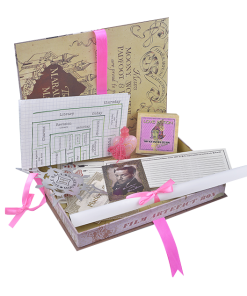 Warner Bros Hermione Granger Artefact Box