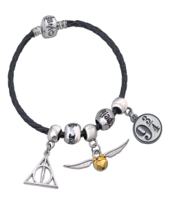 Warner Bros Harry Potter Charm Bracelet Set