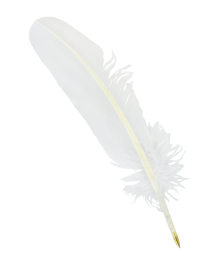 Warner Bros Feather Quill Pen Best Sellers
