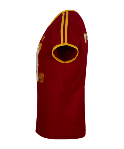 Warner Bros Best Sellers Personalised Gryffindor House Seeker T-Shirt