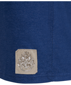 Warner Bros Best Sellers Ravenclaw Quidditch Team Captain T-Shirt