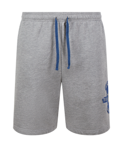 Warner Bros Best Sellers Ravenclaw Quidditch Team Captain Shorts