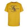 Warner Bros Kids Hufflepuff Quidditch Team Captain T-Shirt