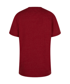 Warner Bros Best Sellers Kids Gryffindor Quidditch Team Captain T-Shirt