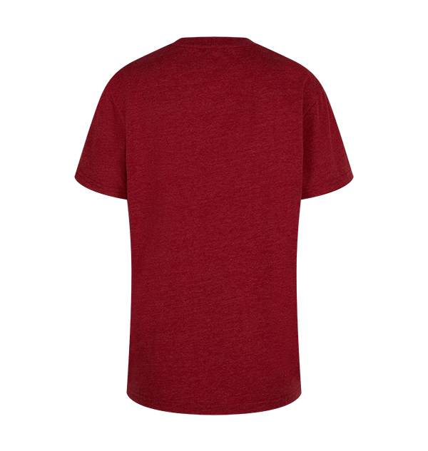 Warner Bros Best Sellers Kids Gryffindor Quidditch Team Captain T-Shirt 4 Warner Bros Best Sellers Kids Gryffindor Quidditch Team Captain T-Shirt