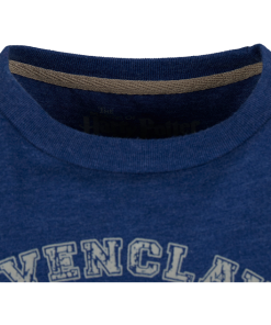 Warner Bros Best Sellers Kids Ravenclaw Quidditch Team Captain T-Shirt