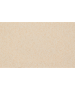 Warner Bros Hogwarts Express Souvenir Ticket