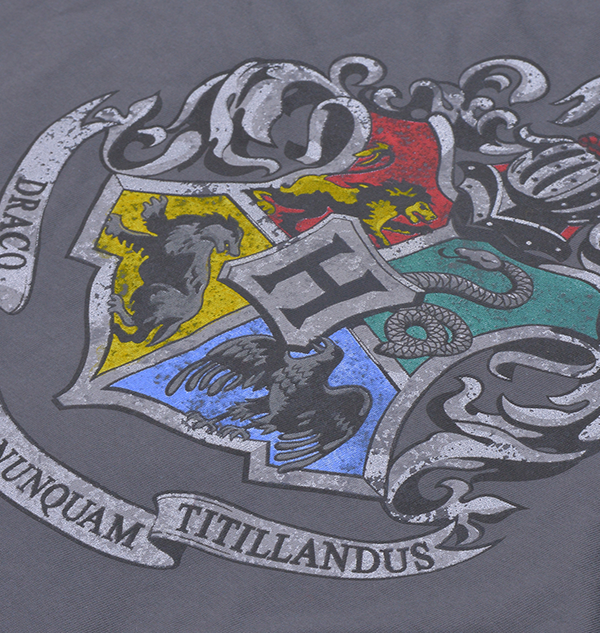 Warner Bros Kids Hogwarts Silver Crest T-Shirt 5 Warner Bros Kids Hogwarts Silver Crest T-Shirt