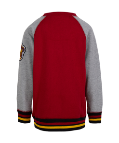 Warner Bros Kids Gryffindor Sweatshirt Best Sellers