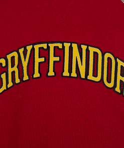 Warner Bros Kids Gryffindor Sweatshirt Best Sellers
