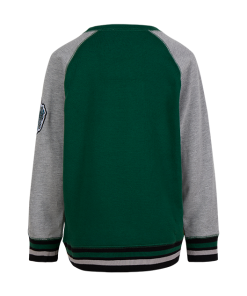 Warner Bros Kids Slytherin Sweatshirt
