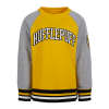 Warner Bros Kids Hufflepuff Sweatshirt
