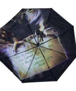 Warner Bros Philosopher's Stone Umbrella