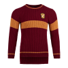 Warner Bros Gryffindor Quidditch Knitted Adult Jumper Best Sellers