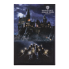 Warner Bros Best Sellers Journey To Hogwarts Photo Magnet
