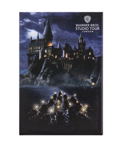 Warner Bros Best Sellers Journey To Hogwarts Photo Magnet