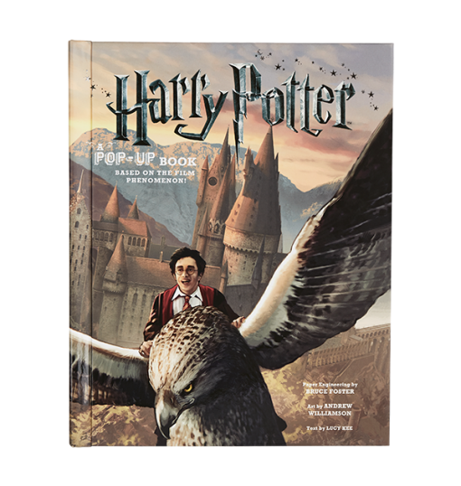 Warner Bros Harry Potter Pop Up Book