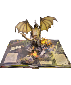 Warner Bros Harry Potter Pop Up Book