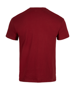 Warner Bros Gryffindor T-Shirt Best Sellers