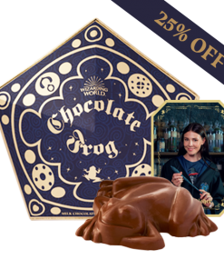 Pureprint Chocolate Frog With Personalised Wizard Card Best Sellers