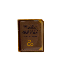 Warner Bros Best Sellers Diagon Alley Book Pins 10 Warner Bros Best Sellers Diagon Alley Book Pins