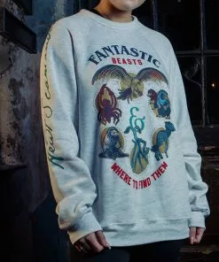 Warner Bros The Secrets Of Dumbledore Sweatshirt