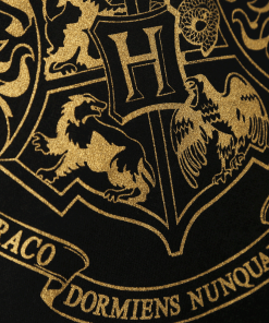Warner Bros Hogwarts Gold Crest Hooded Jumper