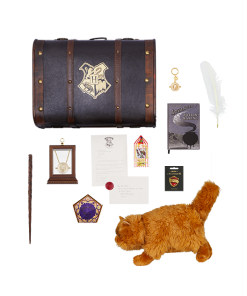 Warner Bros Hermione Granger Gift Trunk
