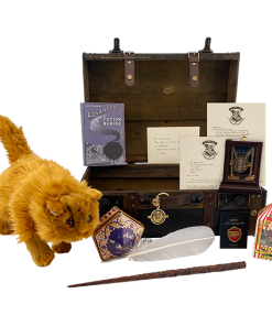 Warner Bros Hermione Granger Gift Trunk