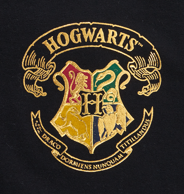 Warner Bros Hogwarts Adult Spirit Jersey 5 Warner Bros Hogwarts Adult Spirit Jersey