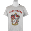 Warner Bros Best Sellers Kids Gryffindor Distressed T-Shirt
