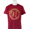 Warner Bros Distressed Platform 9 3/4 T-Shirt - Kids 2 Warner Bros Distressed Platform 9 3/4 T-Shirt - Kids