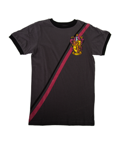 Warner Bros Best Sellers Youth Gryffindor Diagonal Striped T-Shirt