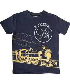 Warner Bros Best Sellers Kids Hogwarts Express Allover Print T-Shirt