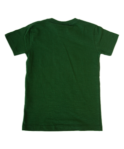 Warner Bros Youth Slytherin Quidditch Crest T-Shirt Best Sellers