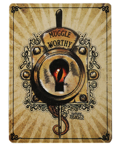 Warner Bros Muggle Worthy Magnet