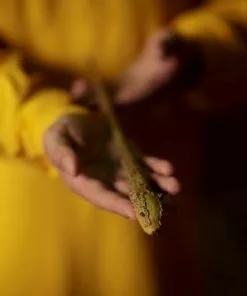 Warner Bros The Hufflepuff Mascot Wand Best Sellers