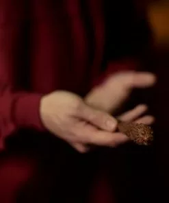 Warner Bros The Gryffindor Mascot Wand