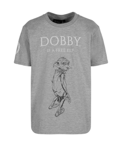 Warner Bros Best Sellers Dobby T-Shirt - Kids