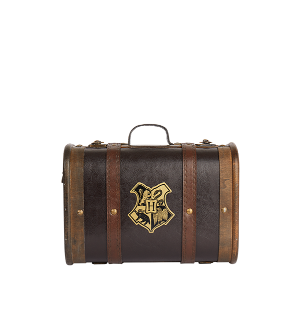 Warner Bros Hogwarts Trunks Hogwarts School Trunk Combo Bundle 5 Warner Bros Hogwarts Trunks Hogwarts School Trunk Combo Bundle