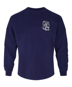 Warner Bros Best Sellers Ravenclaw Adult Spirit Jersey