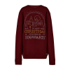 Warner Bros Best Sellers Hogwarts Christmas Sweatshirt