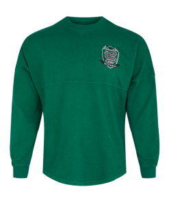 Warner Bros Best Sellers Slytherin Adult Spirit Jersey