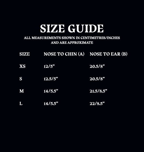 Warner Bros Ravenclaw Face Covering 7 Warner Bros Ravenclaw Face Covering