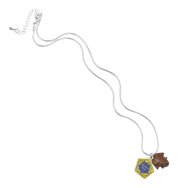 Warner Bros Chocolate Frog Charm Necklace 5 Warner Bros Chocolate Frog Charm Necklace