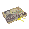 Warner Bros Best Sellers Harry Potter Artefact Box