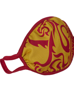Warner Bros Gryffindor Face Covering Best Sellers