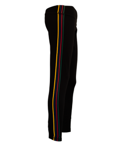 Warner Bros Best Sellers Hogwarts House Athletic Leggings