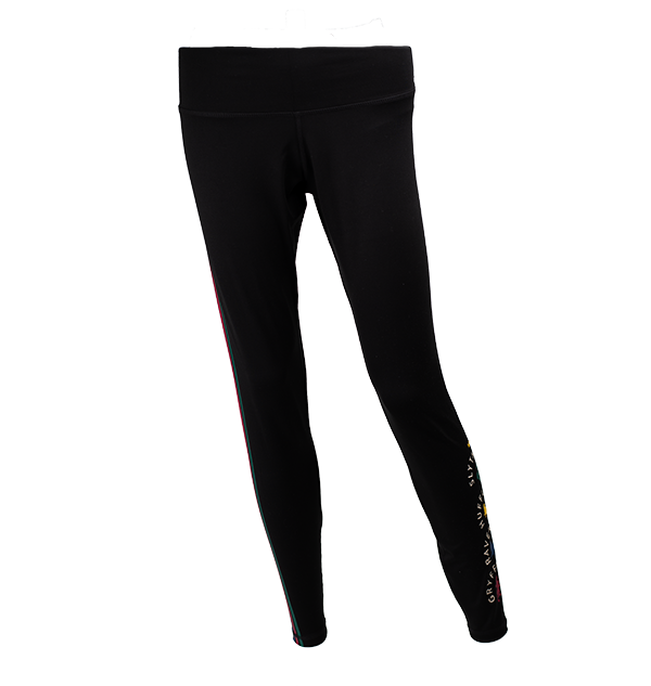 Warner Bros Best Sellers Hogwarts House Athletic Leggings 3 Warner Bros Best Sellers Hogwarts House Athletic Leggings