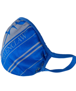 Warner Bros Ravenclaw Face Covering